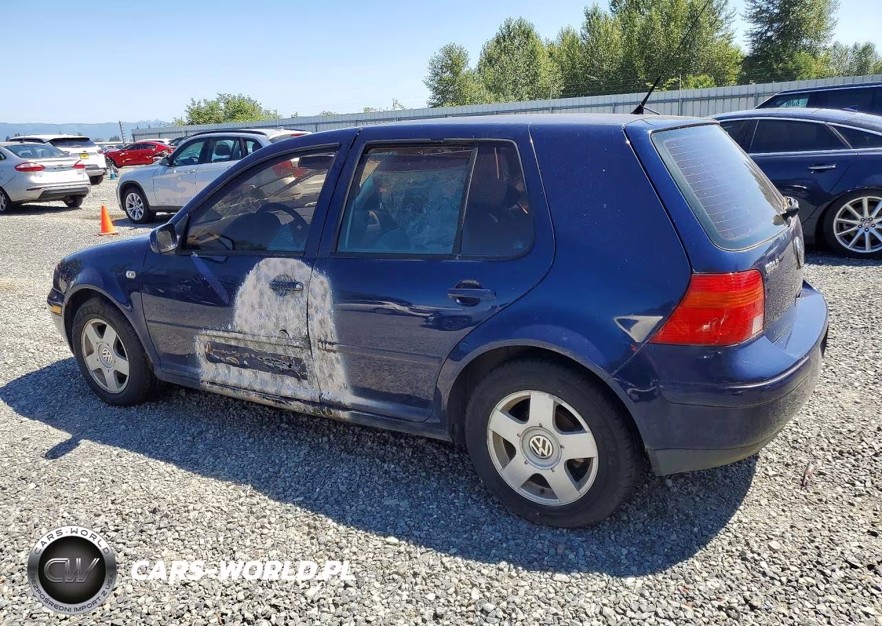 2002 Volkswagen Golf Gls VIN:9BWGB61J124071356 - 2