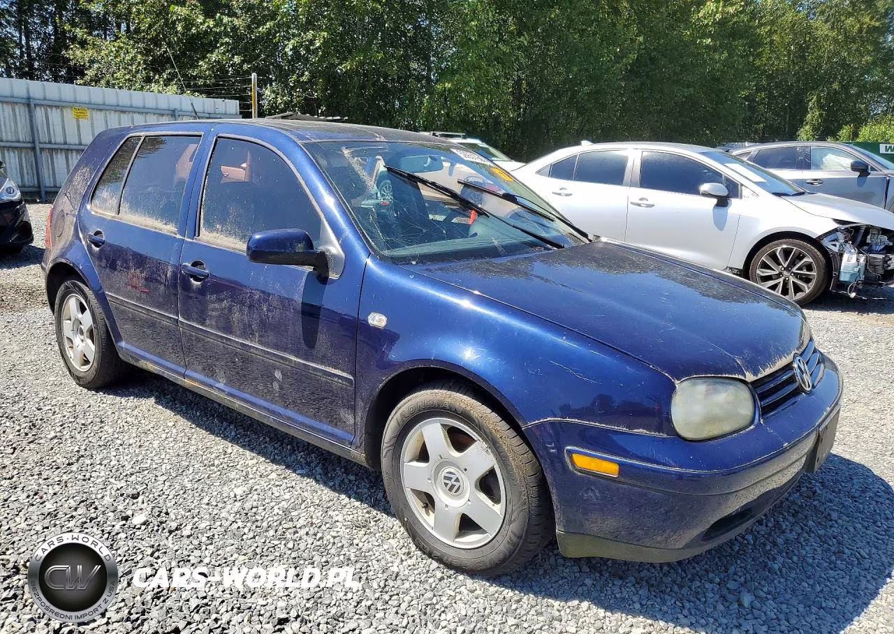 2002 Volkswagen Golf Gls VIN:9BWGB61J124071356 - 4