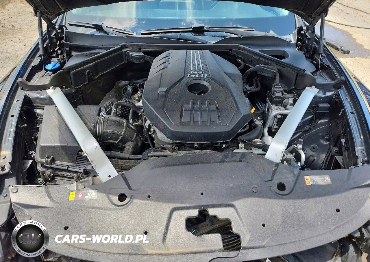 2019 Kia Stinger Base VIN:KNAE15LA8K6046581 - 11