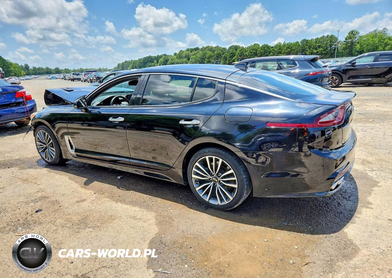 2019 Kia Stinger Base VIN:KNAE15LA8K6046581 - 2