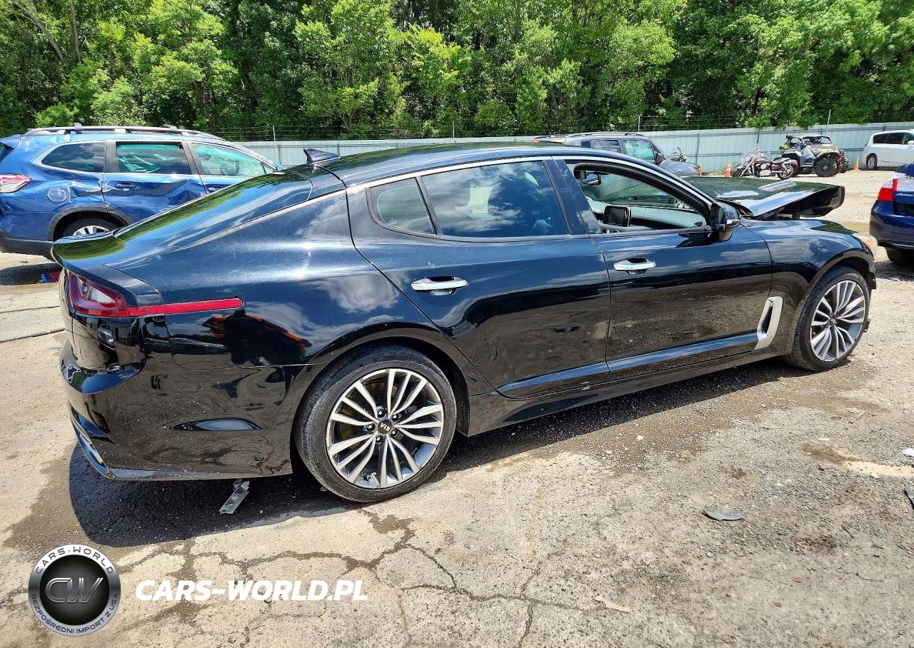 2019 Kia Stinger Base VIN:KNAE15LA8K6046581 - 3