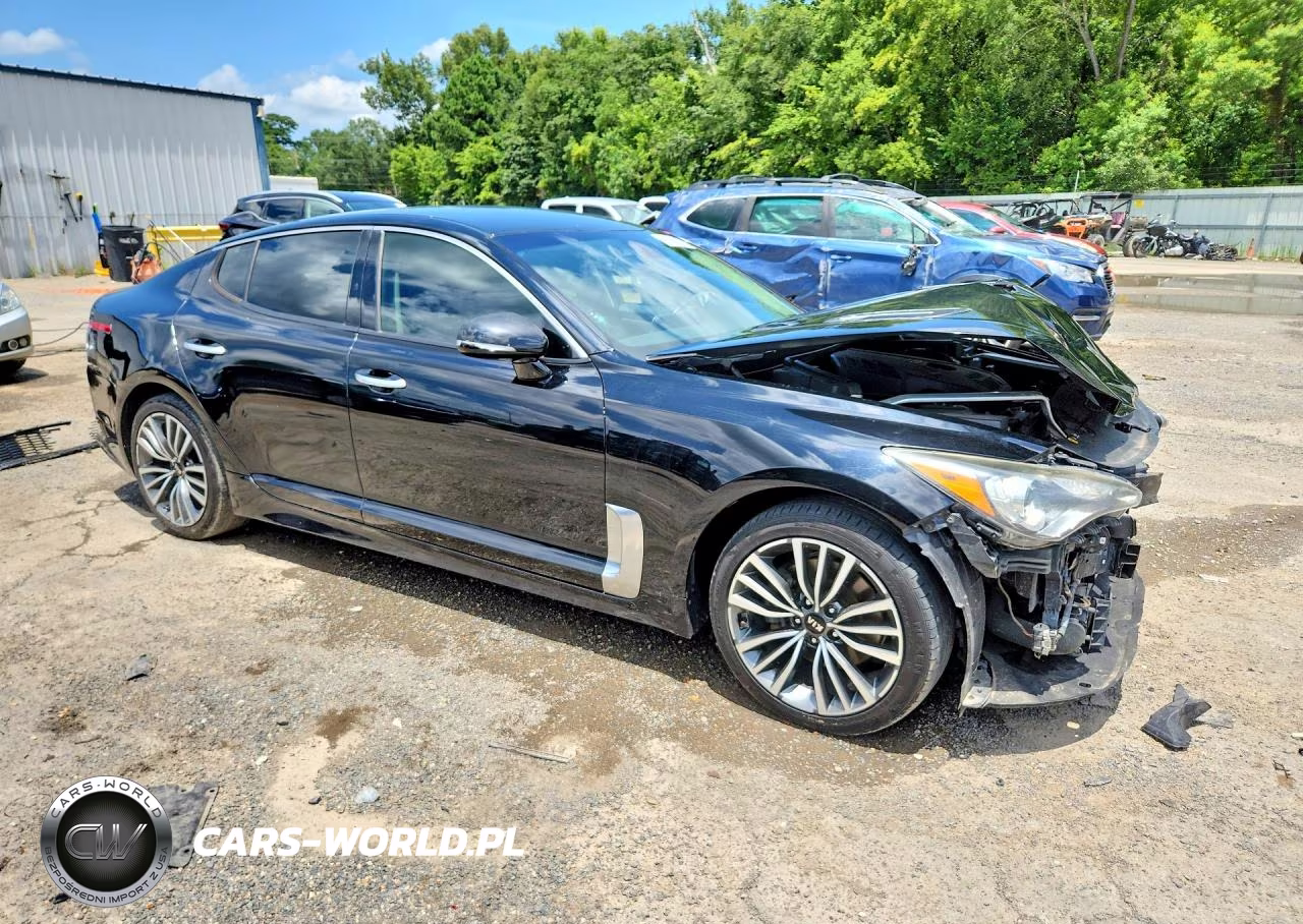 2019 Kia Stinger Base VIN:KNAE15LA8K6046581 - 4