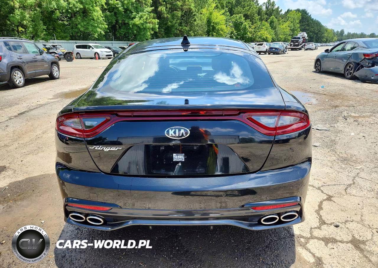 2019 Kia Stinger Base VIN:KNAE15LA8K6046581 - 6