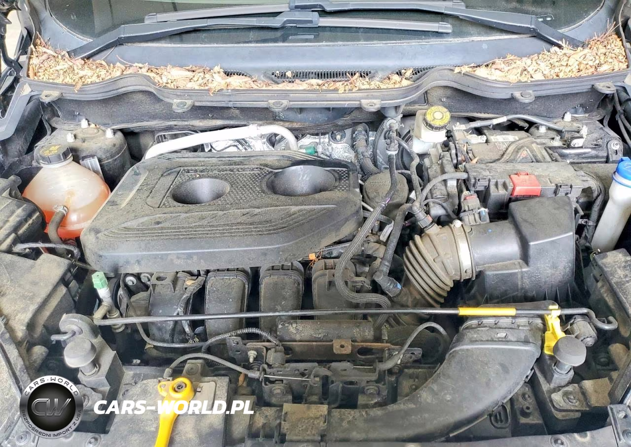 2019 Ford Ecosport Titanium VIN:MAJ6S3KL9KC279601 - 12