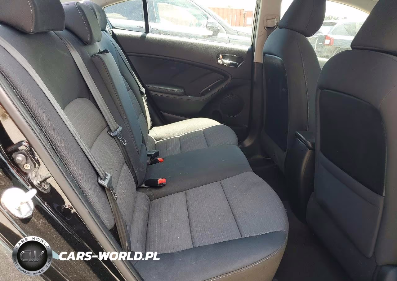 2014 Kia Forte Lx VIN:KNAFX4A67E5204897 - 10