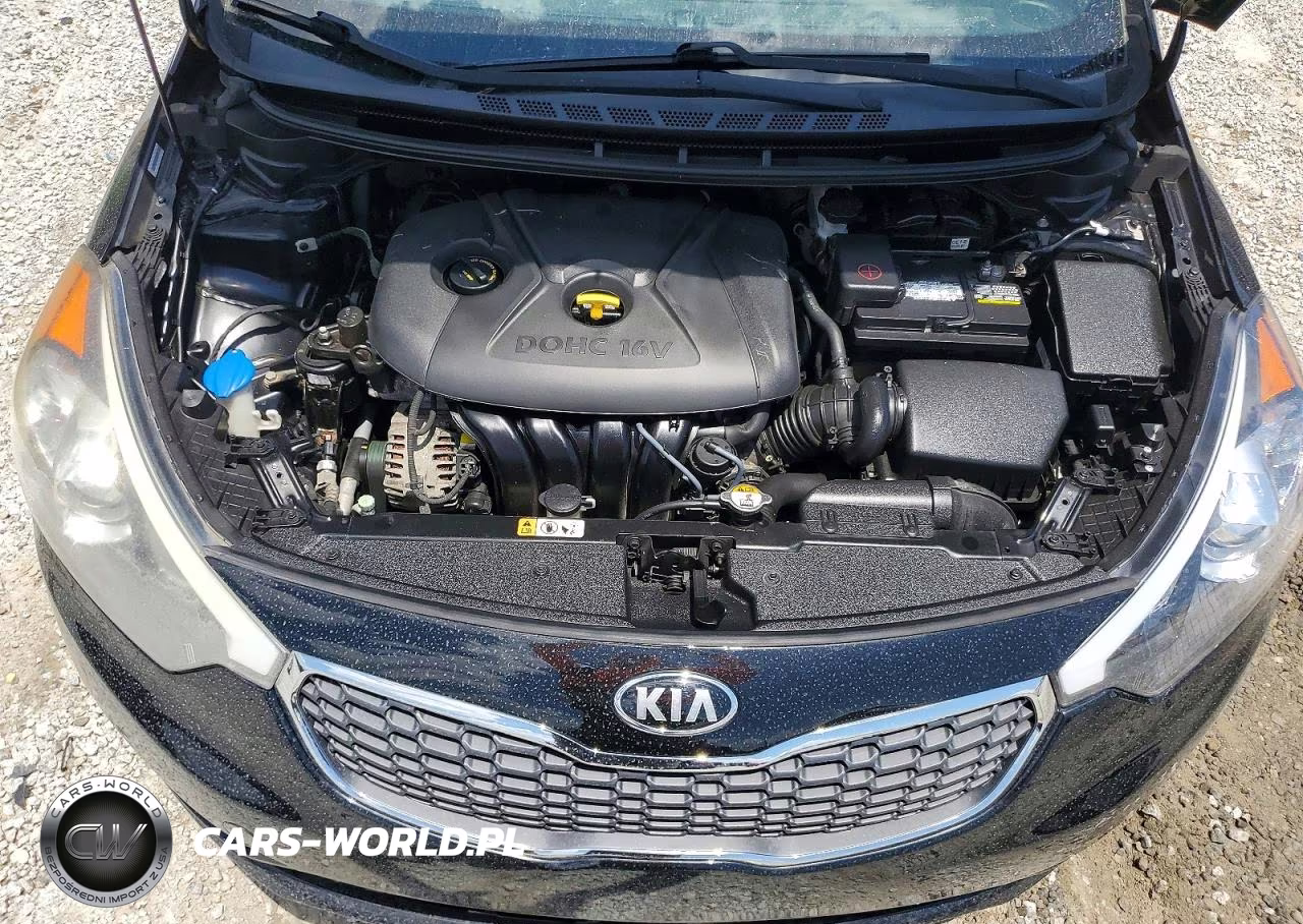 2014 Kia Forte Lx VIN:KNAFX4A67E5204897 - 11