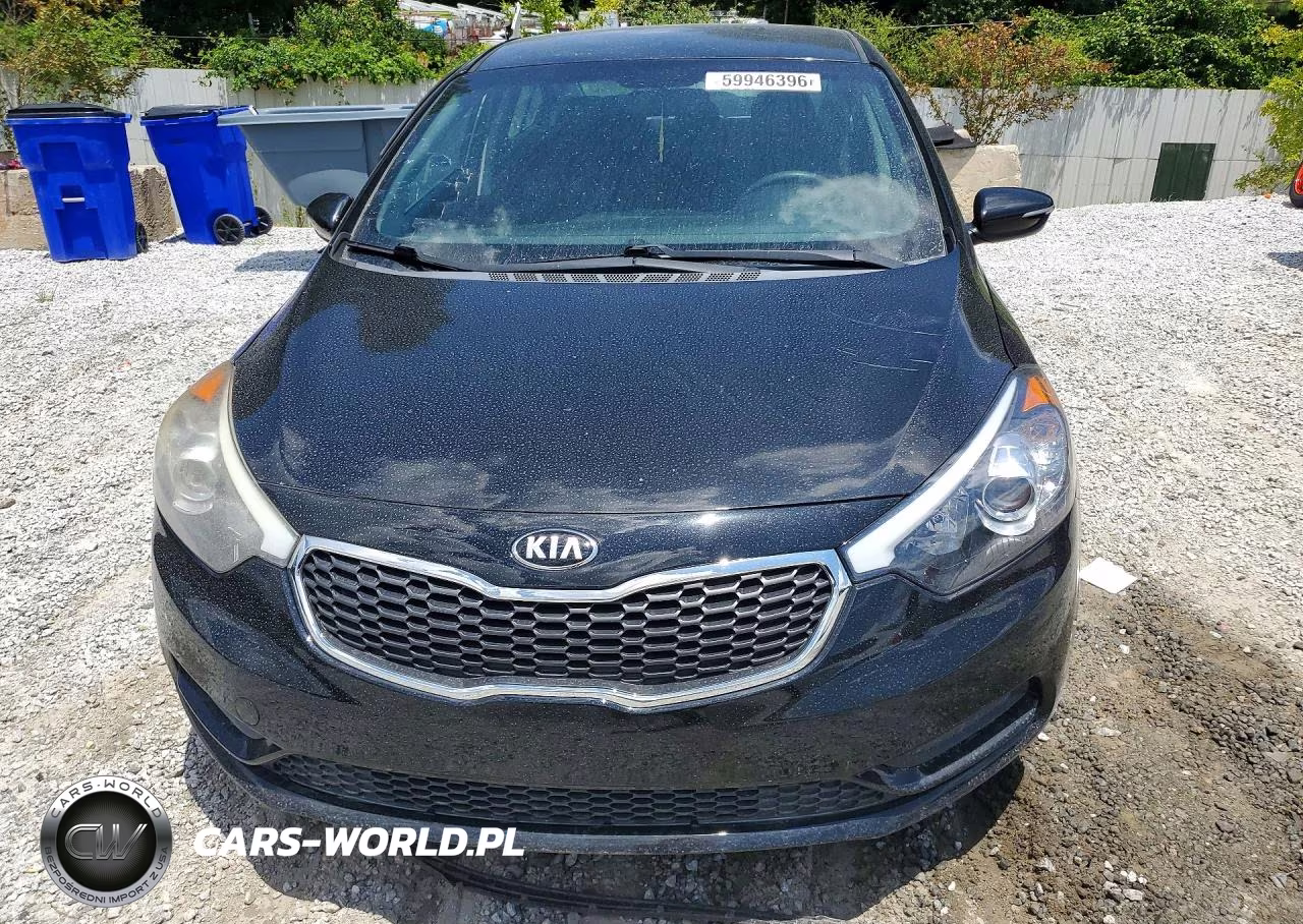 2014 Kia Forte Lx VIN:KNAFX4A67E5204897 - 5