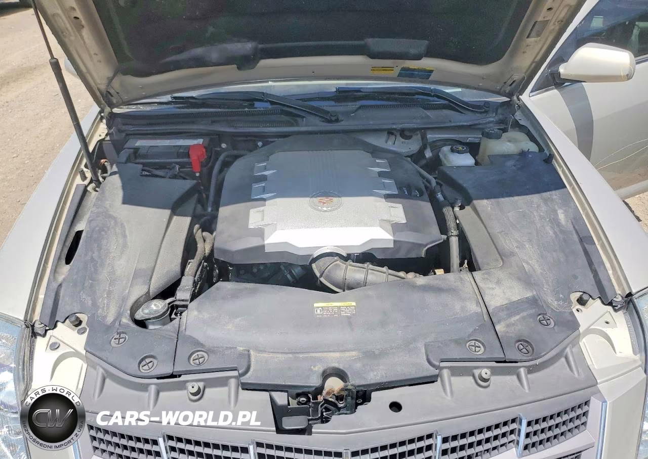 2008 Cadillac Sts VIN:1G6DA67V980210484 - 11