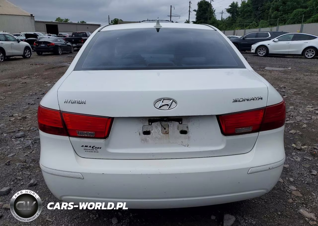 2010 Hyundai Sonata Gls VIN:5NPET4AC3AH583116 - 6
