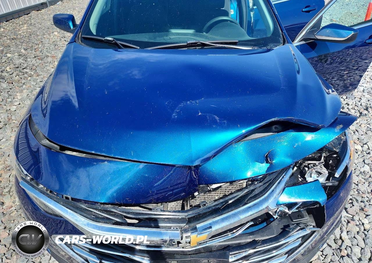 2019 Chevrolet Malibu Lt VIN:1G1ZD5STXKF129209 - 11