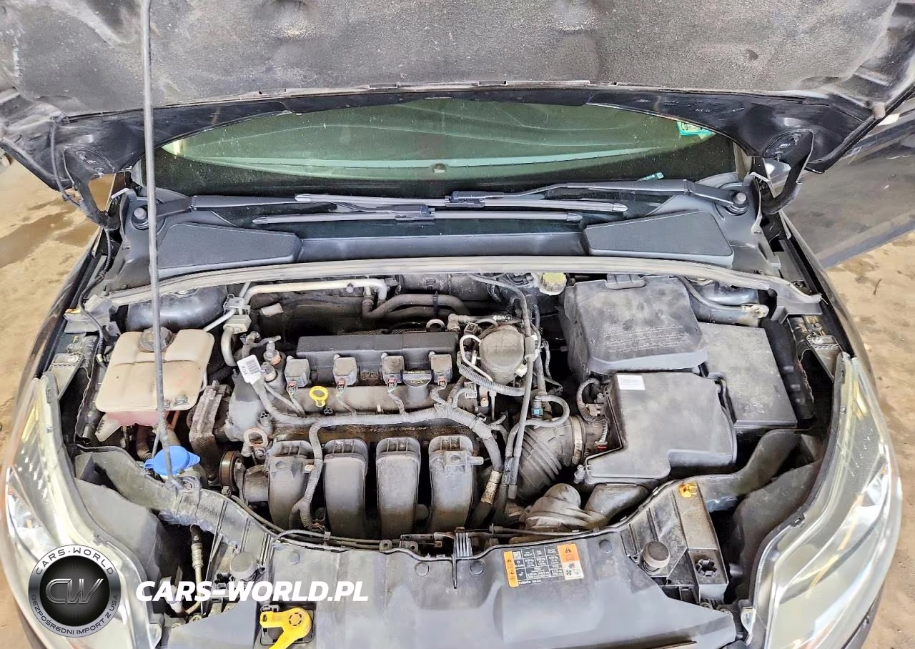 2014 Ford Focus Se VIN:1FADP3F27EL361146 - 11