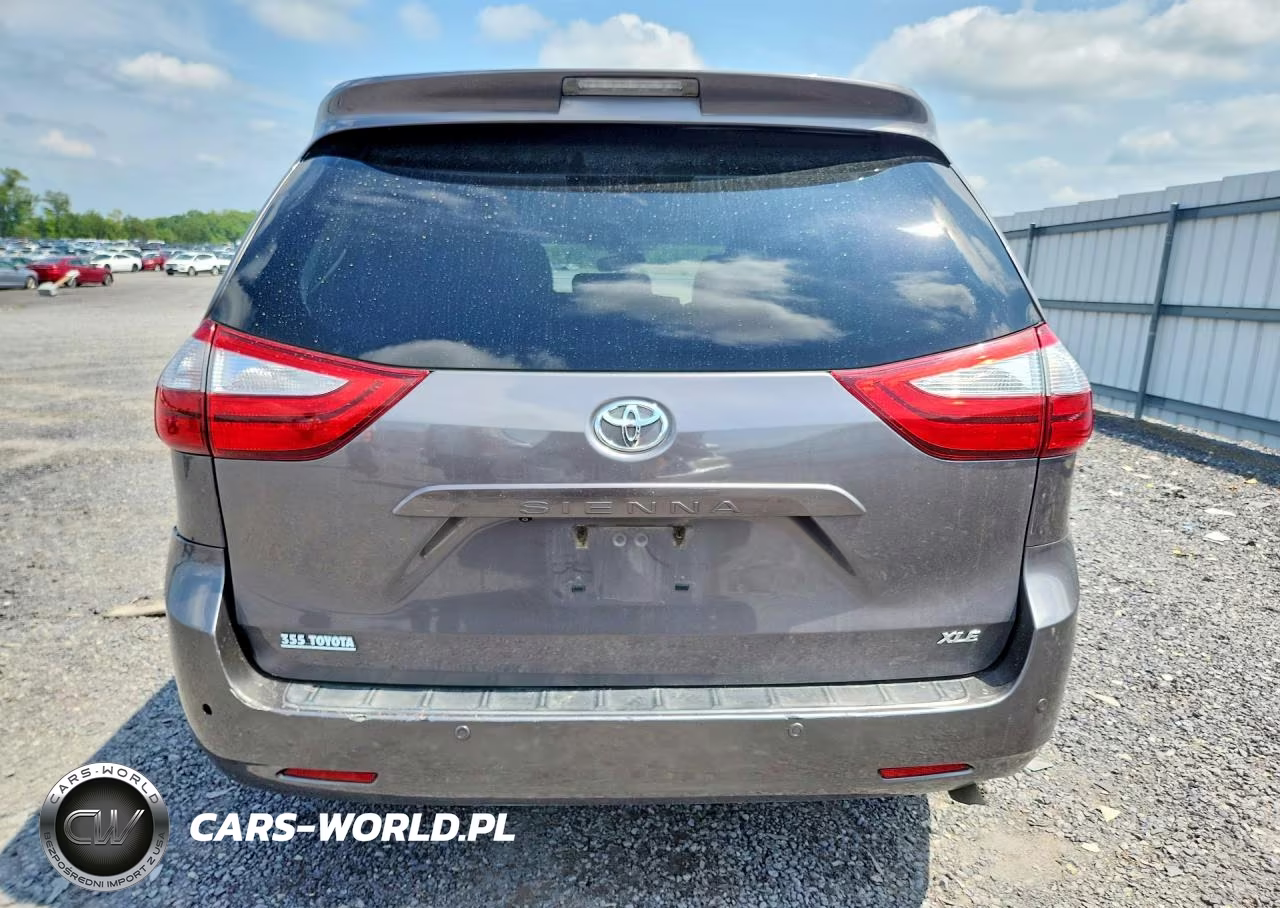 2016 Toyota Sienna Xle 8-Passenger VIN:5TDYK3DC0GS759788 - 6