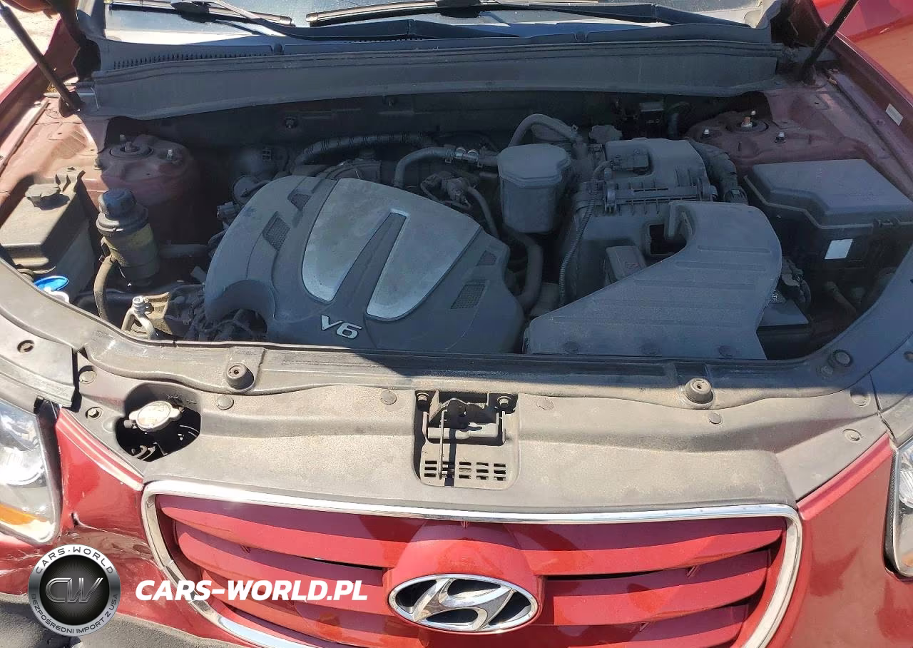 2010 Hyundai Santa Fe Se VIN:5NMSHDAG9AH337580 - 12