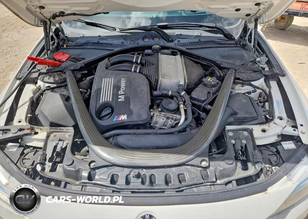 2015 BMW M4 VIN:WBS3R9C50FK333707 - 11