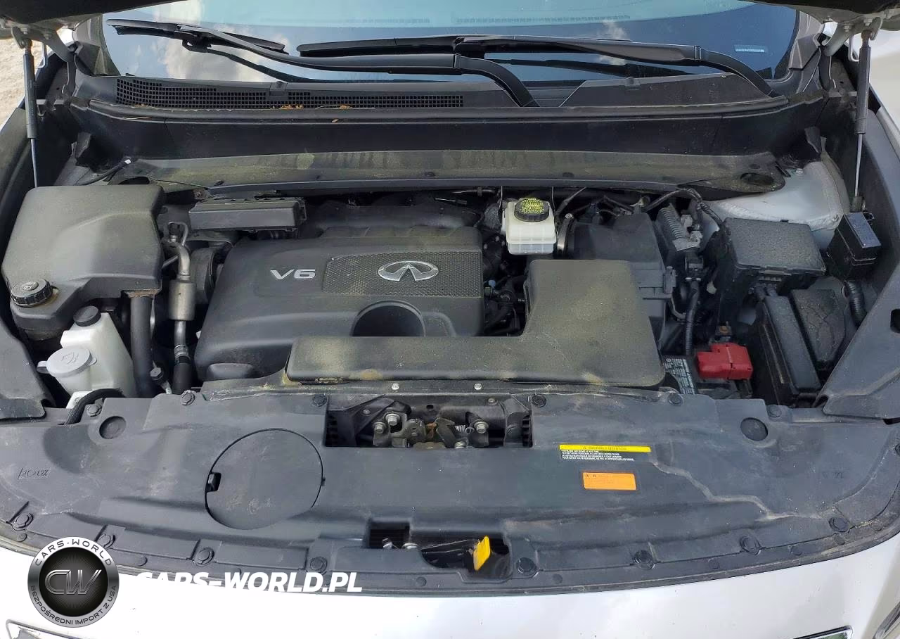 2020 Infiniti Qx60 Pure VIN:5N1DL0MN0LC533687 - 12