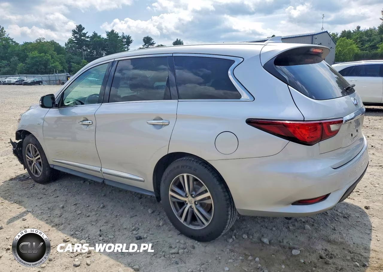 2020 Infiniti Qx60 Pure VIN:5N1DL0MN0LC533687 - 2