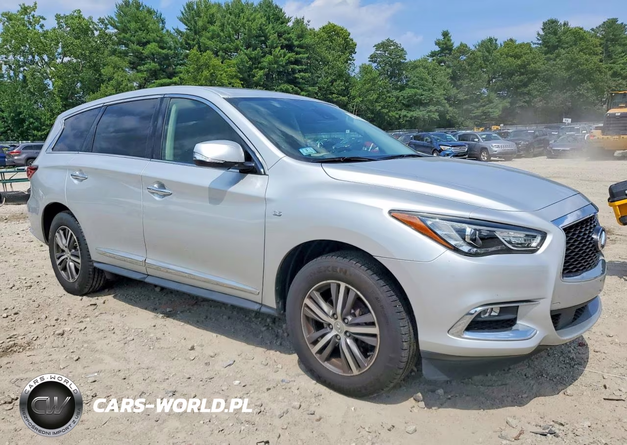 2020 Infiniti Qx60 Pure VIN:5N1DL0MN0LC533687 - 4