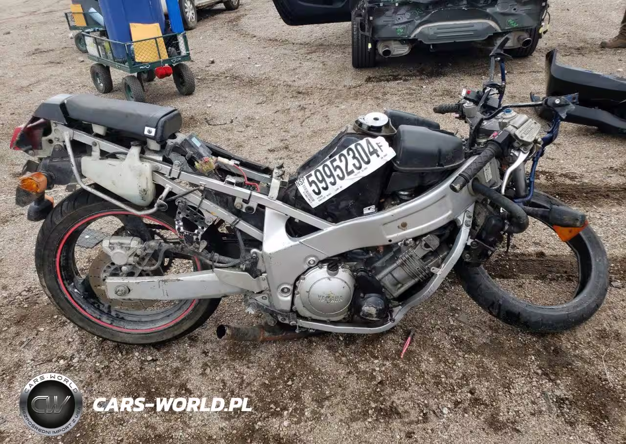 1994 Yamaha Fzr600 R