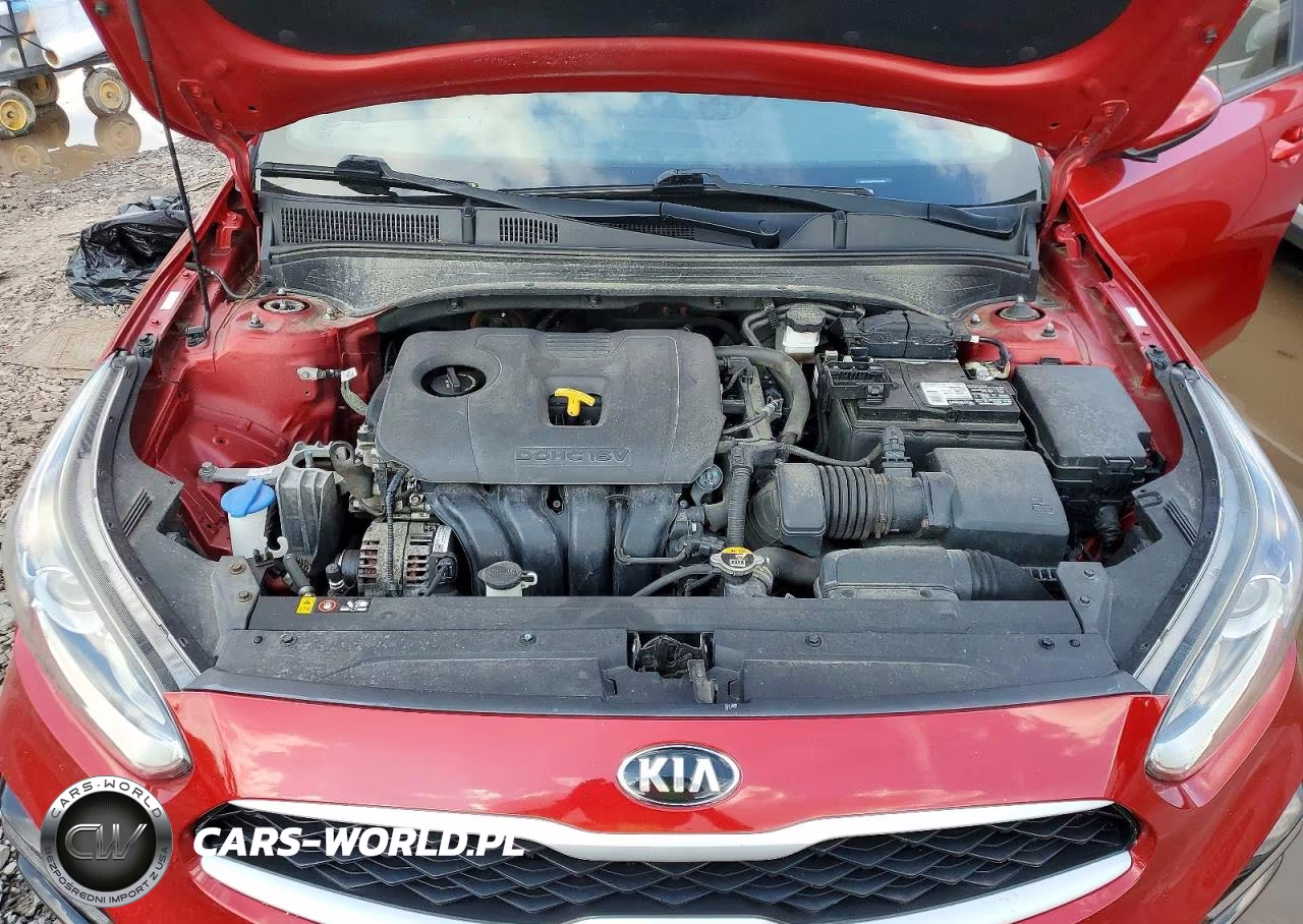 2019 Kia Forte Lxs VIN:3KPF24AD2KE069909 - 11