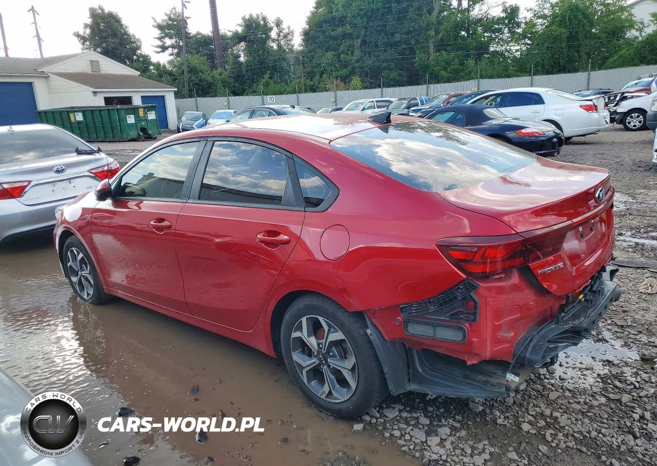 2019 Kia Forte Lxs VIN:3KPF24AD2KE069909 - 2