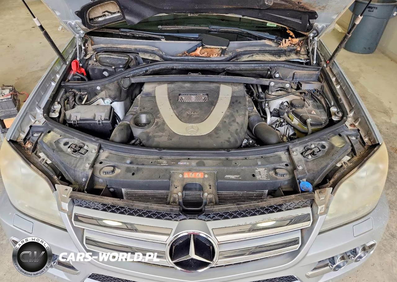 2010 Mercedes-Benz Gl 450 4Matic VIN:4JGBF7BE3AA602648 - 12