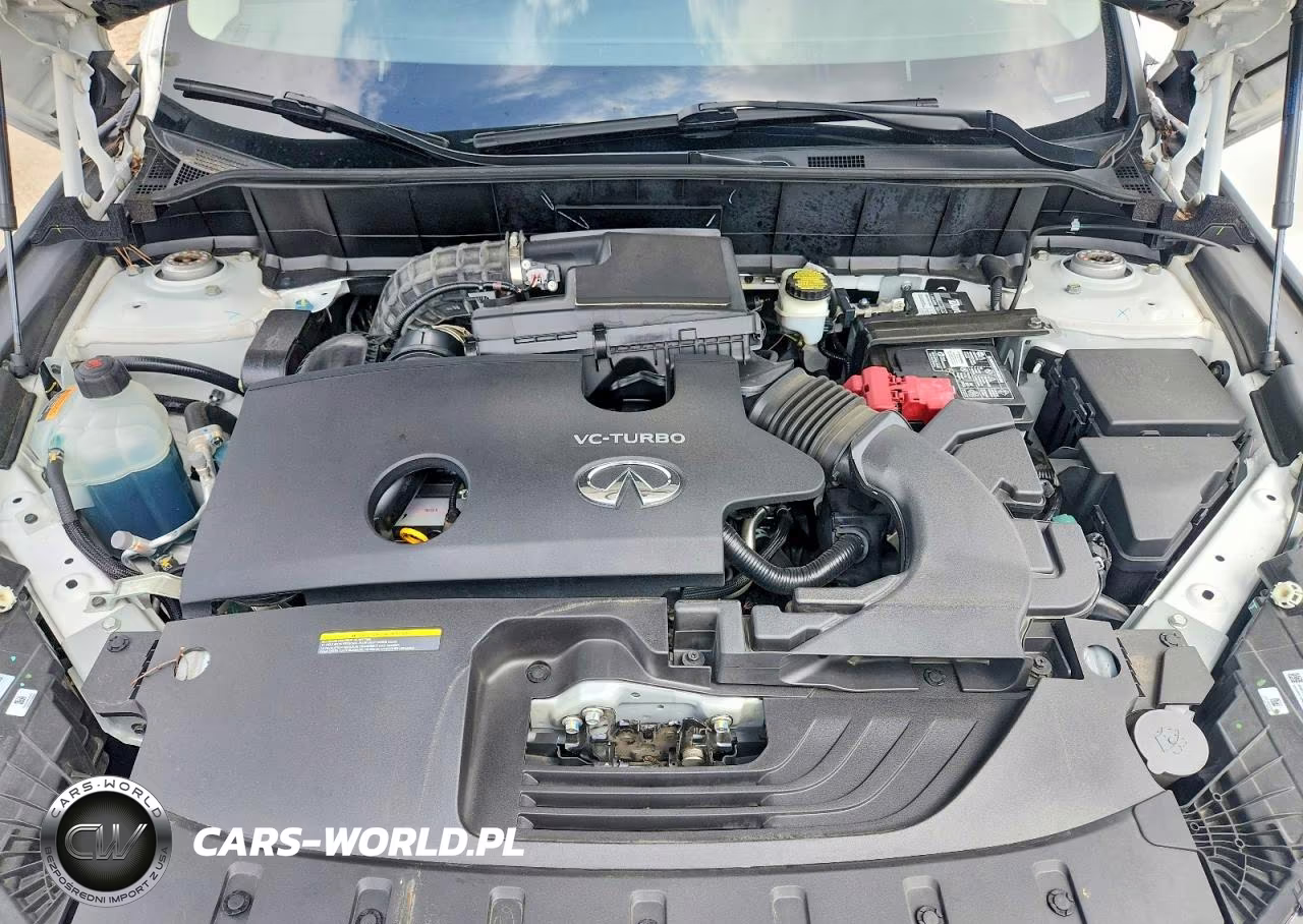 2019 Infiniti Qx50 Pure VIN:3PCAJ5M34KF139216 - 12