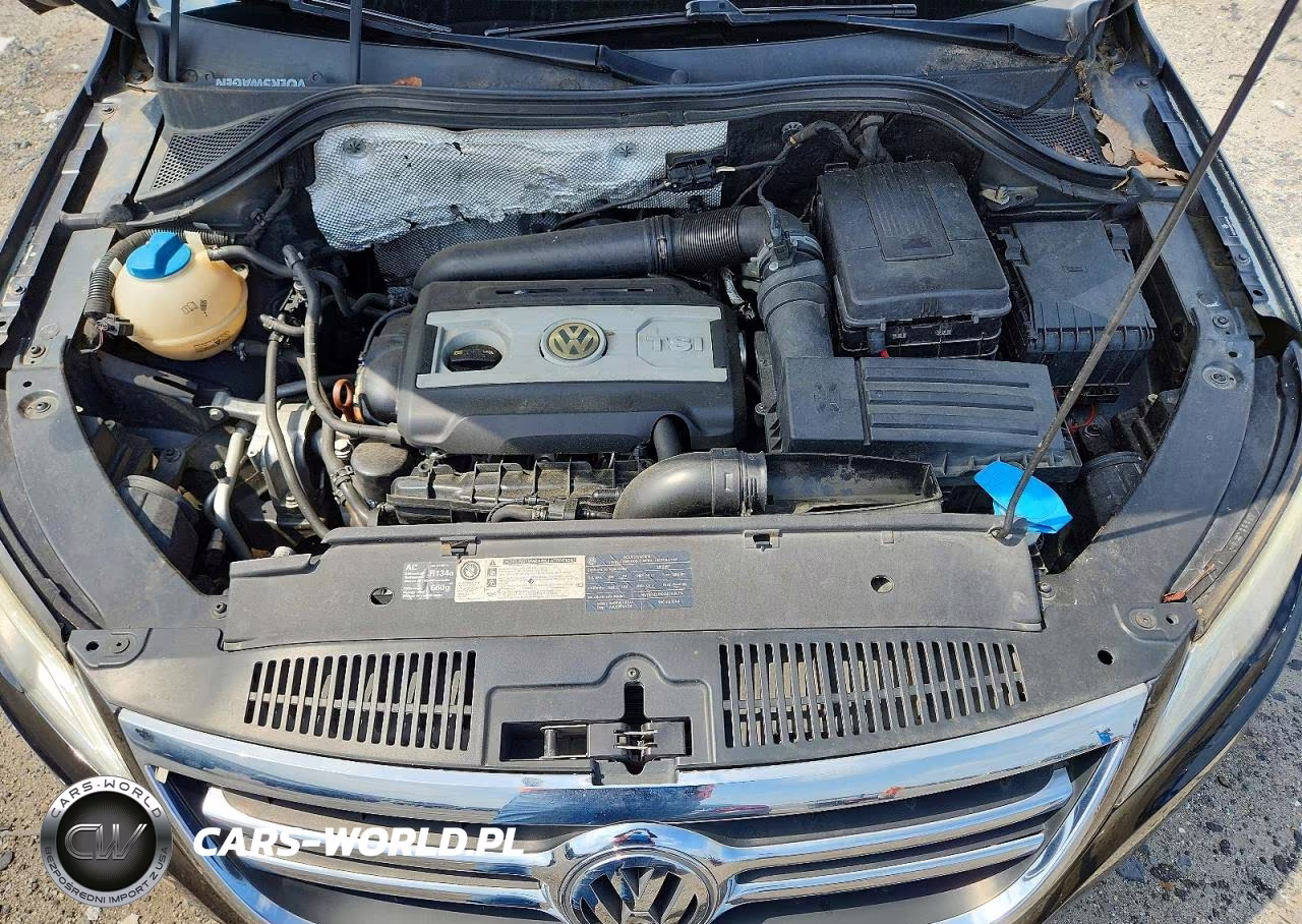 2010 Volkswagen Tiguan S VIN:WVGAV7AX2AW511469 - 11