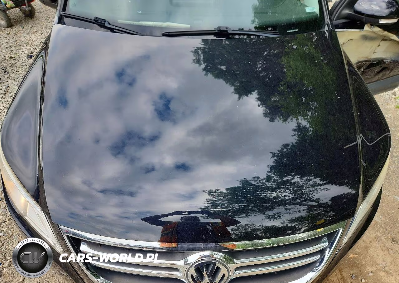 2009 Volkswagen Tiguan S VIN:WVGAV75N49W512367 - 12