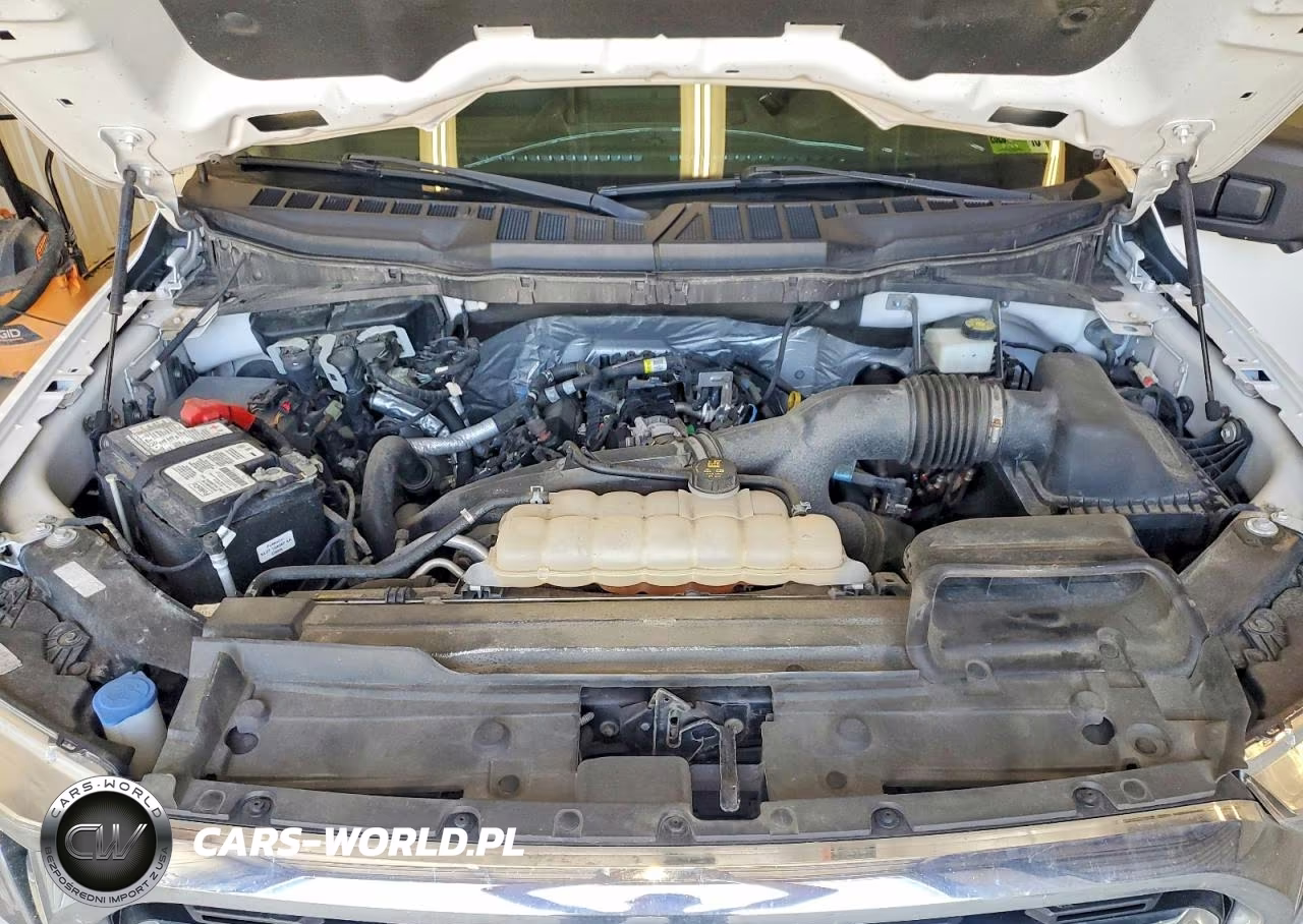 2021 Ford F150 Supercrew VIN:1FTEW1EP9MFC42787 - 11