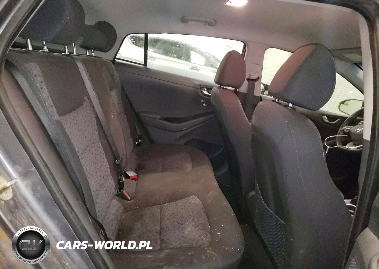 2019 Hyundai Ioniq Blue VIN:KMHC65LC8KU129366 - 10
