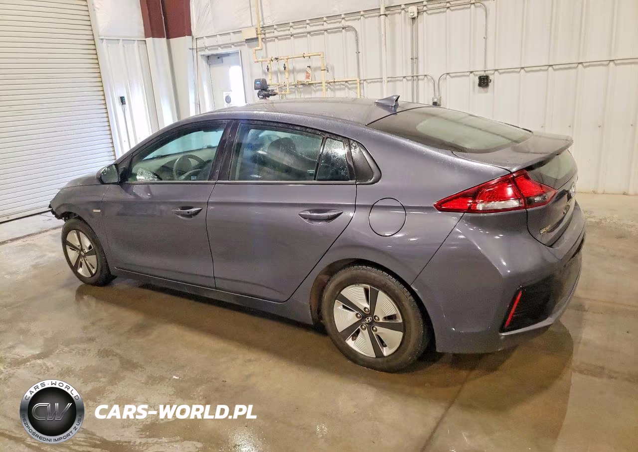 2019 Hyundai Ioniq Blue VIN:KMHC65LC8KU129366 - 2