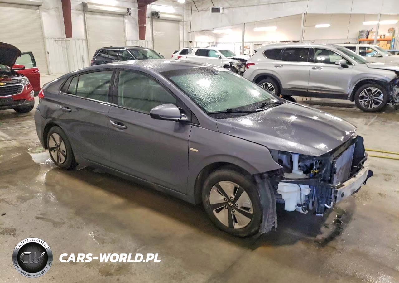 2019 Hyundai Ioniq Blue VIN:KMHC65LC8KU129366 - 4