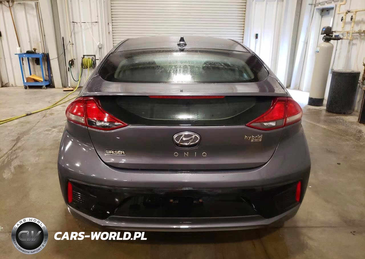2019 Hyundai Ioniq Blue VIN:KMHC65LC8KU129366 - 6