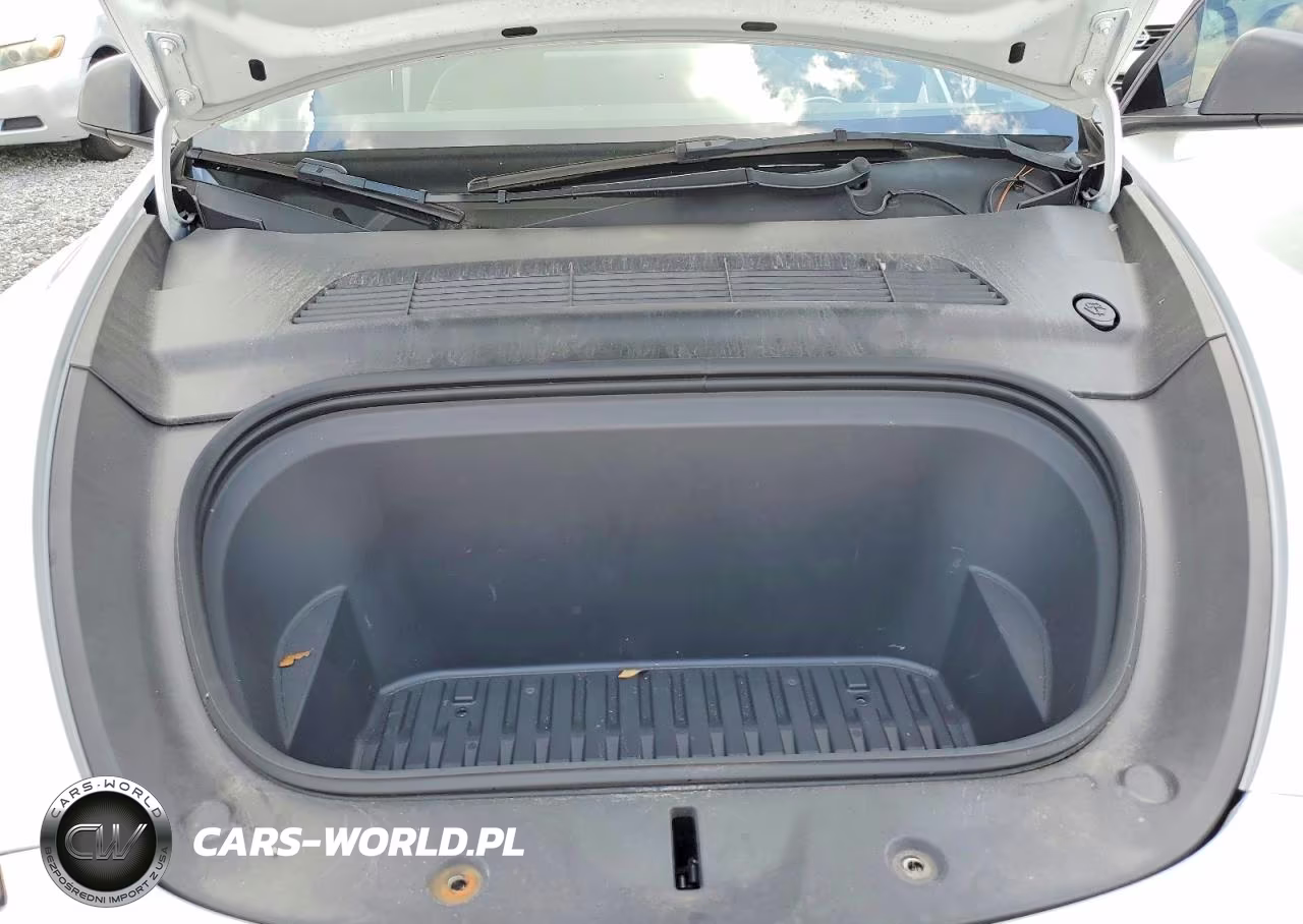 2023 Tesla Model Y VIN:7SAYGDEE4PF608631 - 11