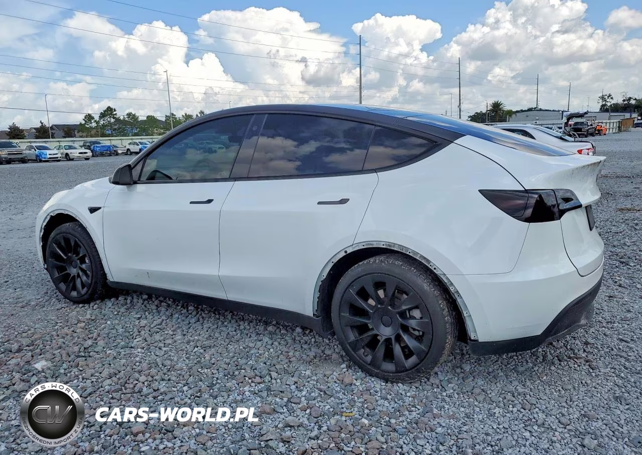 2023 Tesla Model Y VIN:7SAYGDEE4PF608631 - 2