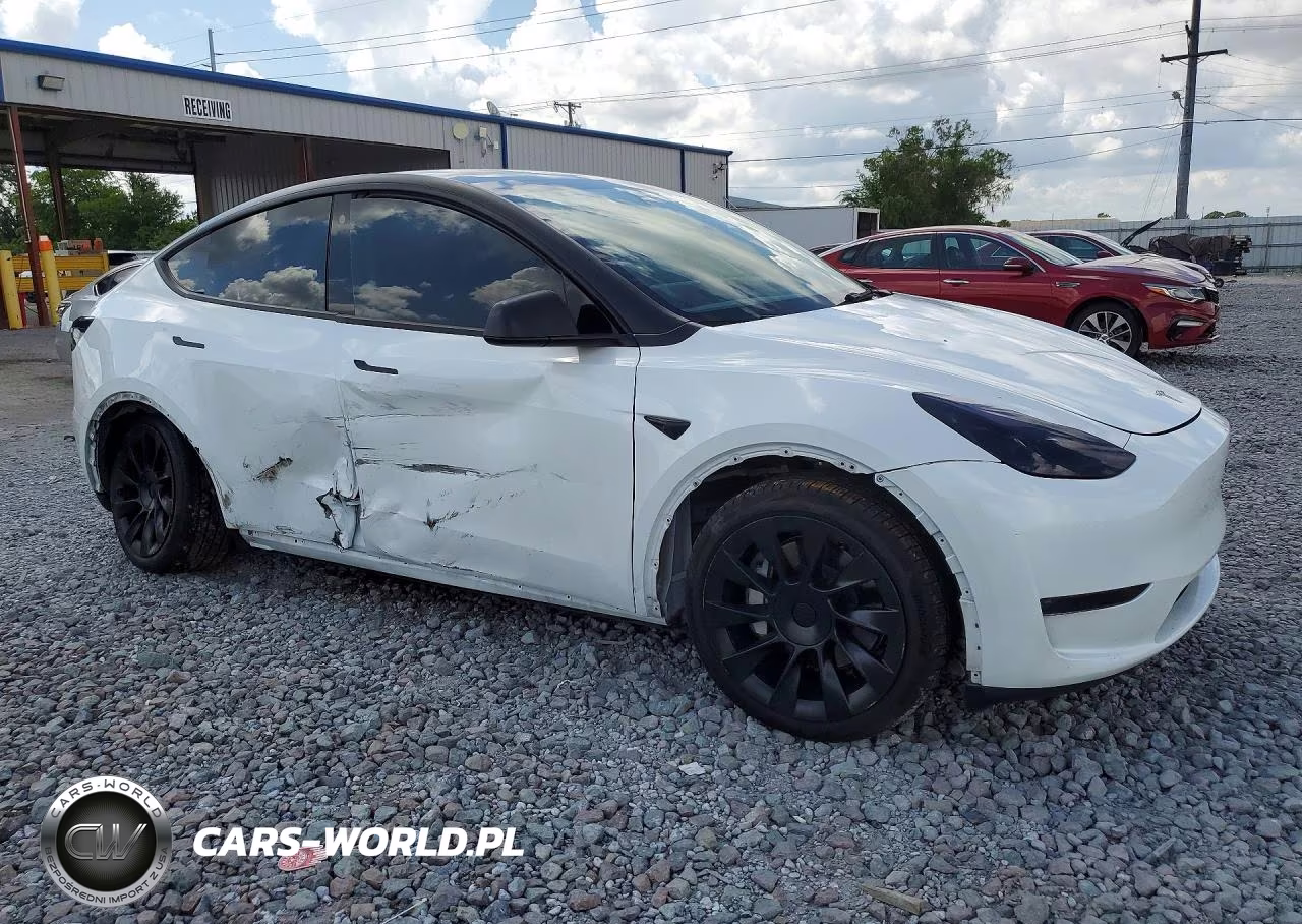 2023 Tesla Model Y VIN:7SAYGDEE4PF608631 - 4