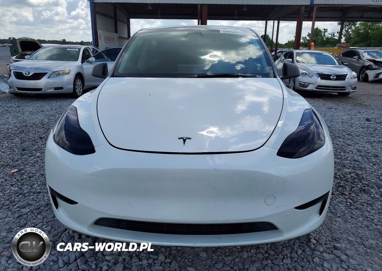 2023 Tesla Model Y VIN:7SAYGDEE4PF608631 - 5