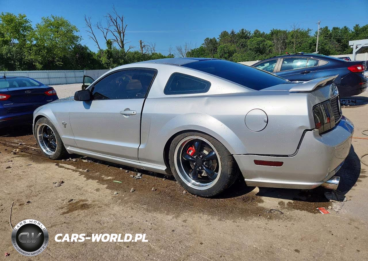 2009 Ford Mustang Gt VIN:1ZVHT82H995101627 - 2