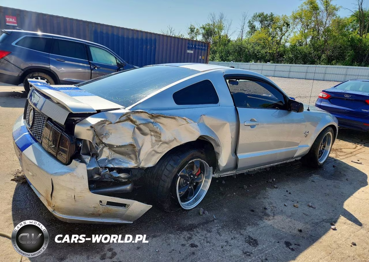 2009 Ford Mustang Gt VIN:1ZVHT82H995101627 - 3