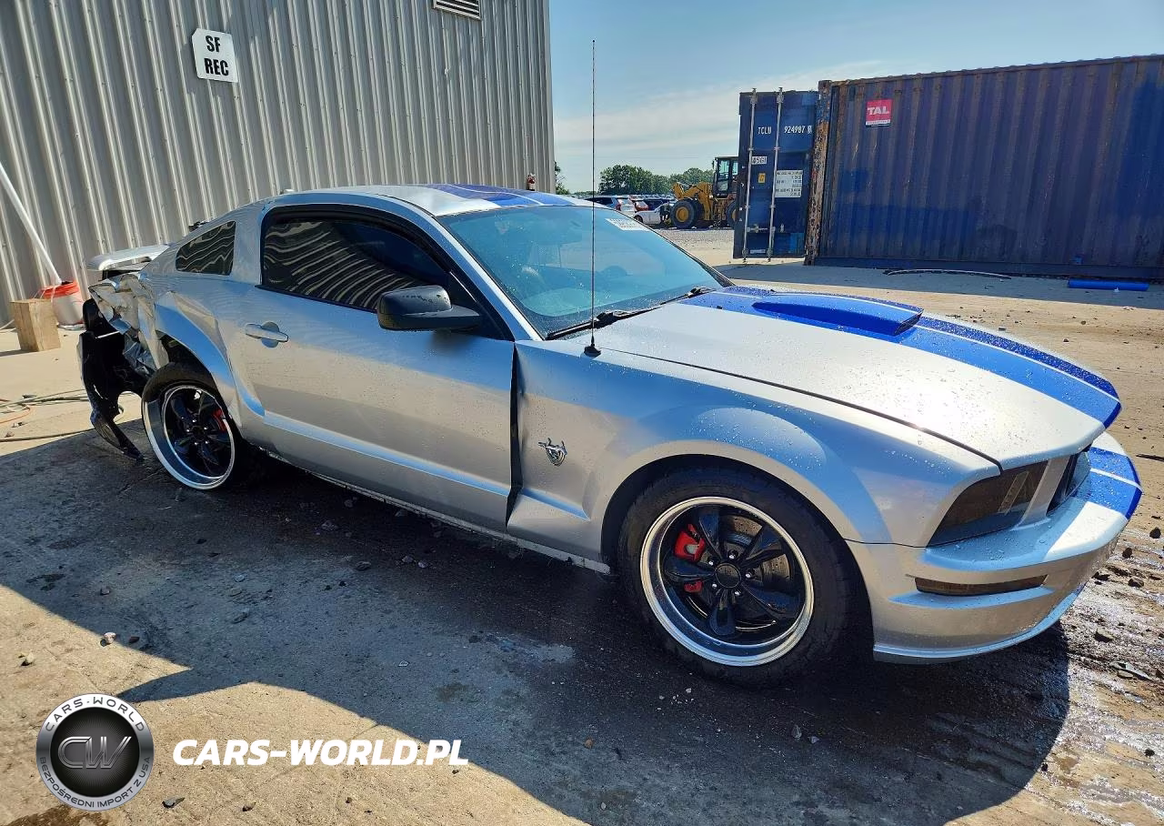 2009 Ford Mustang Gt VIN:1ZVHT82H995101627 - 4