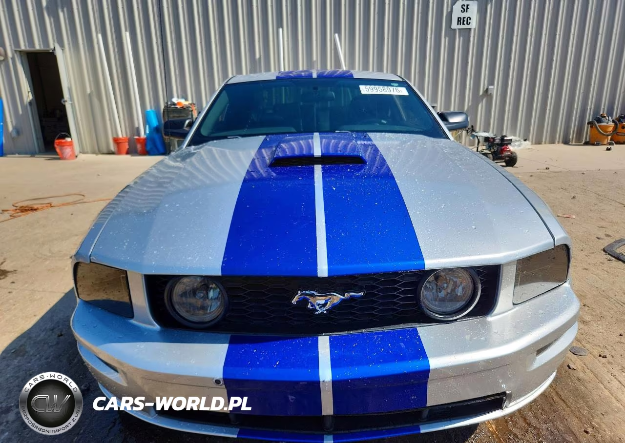 2009 Ford Mustang Gt VIN:1ZVHT82H995101627 - 5