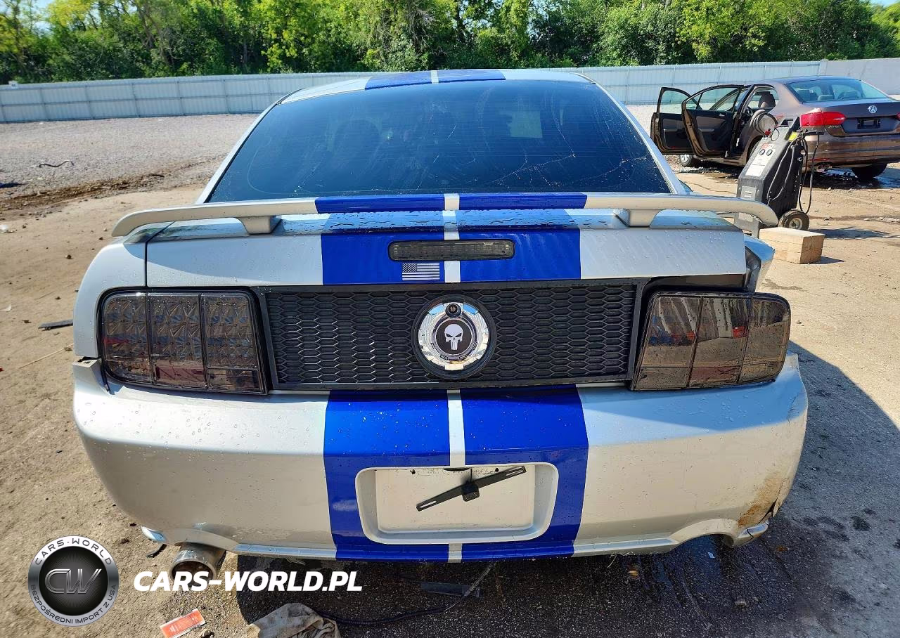 2009 Ford Mustang Gt VIN:1ZVHT82H995101627 - 6