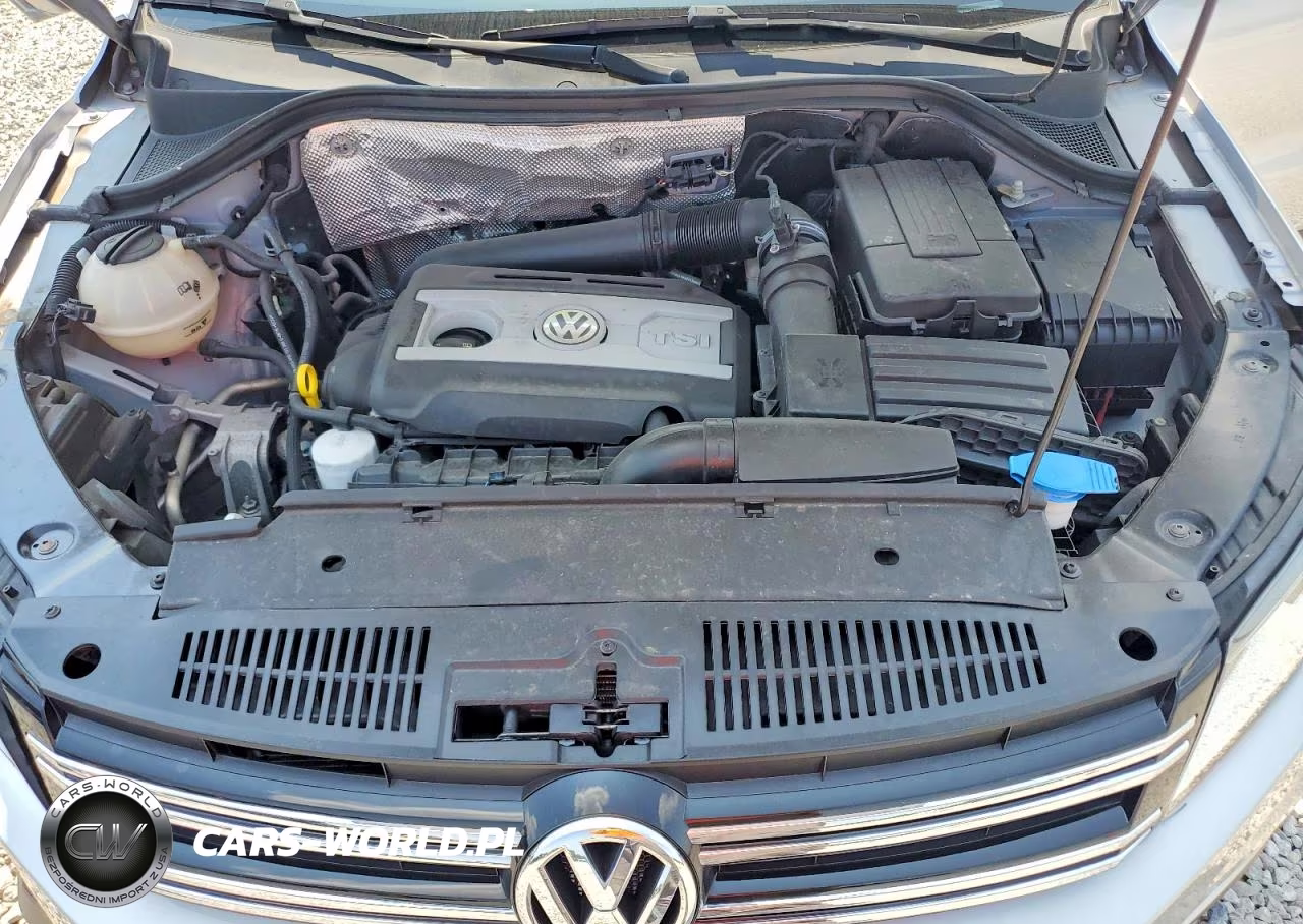 2017 Volkswagen Tiguan S VIN:WVGAV7AX0HK026555 - 12