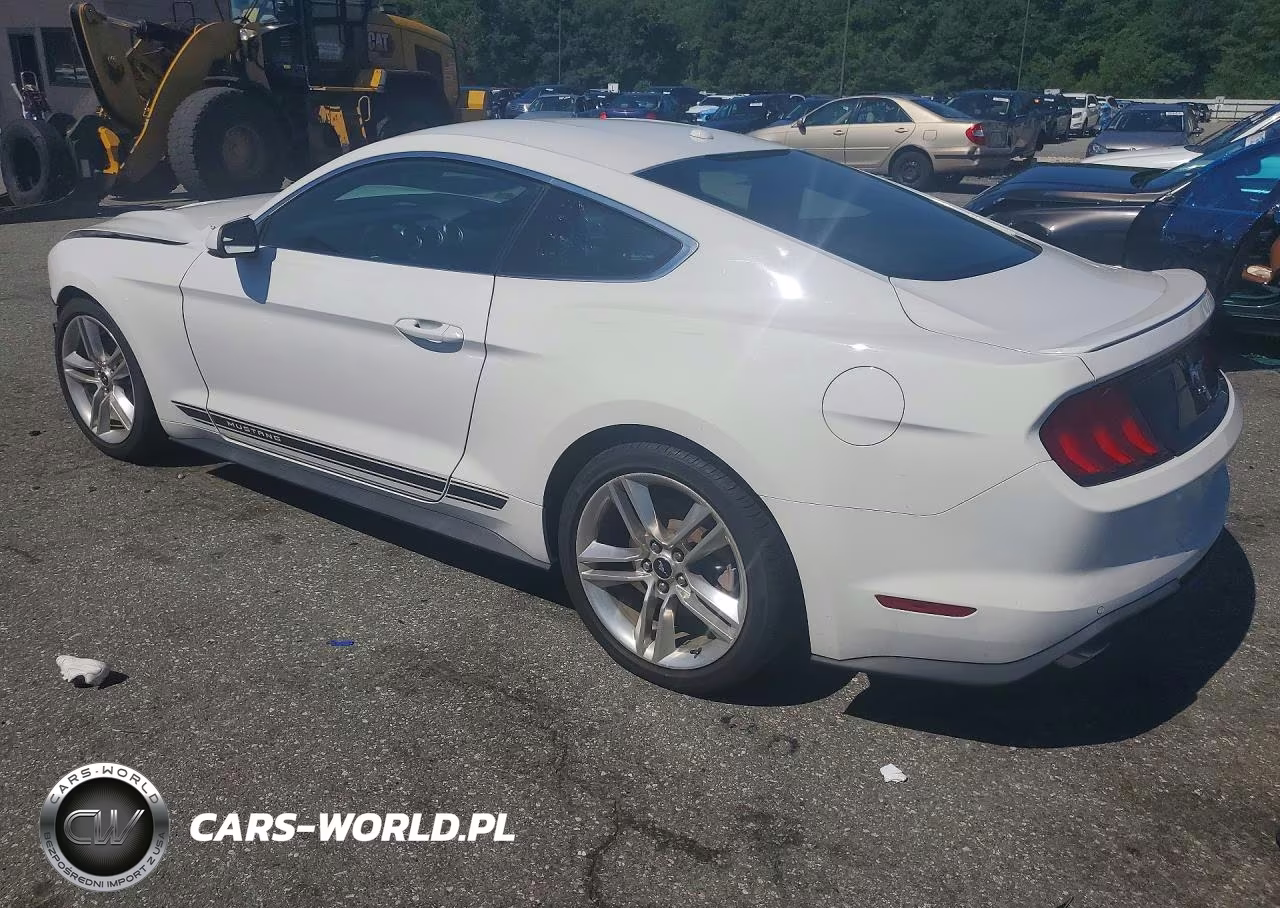 2018 Ford Mustang VIN:1FA6P8TH1J5142213 - 2