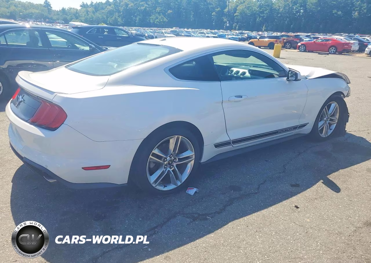 2018 Ford Mustang VIN:1FA6P8TH1J5142213 - 3