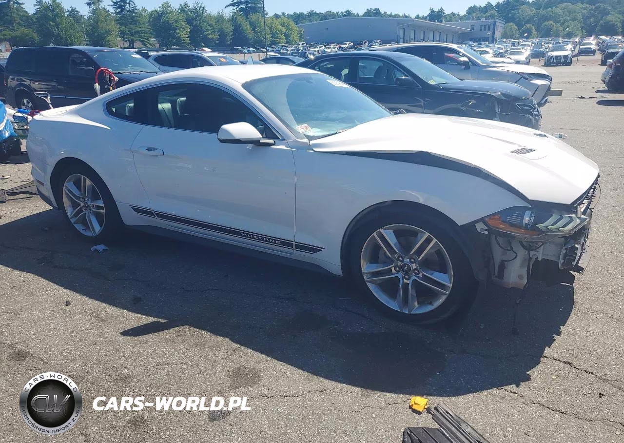2018 Ford Mustang VIN:1FA6P8TH1J5142213 - 4