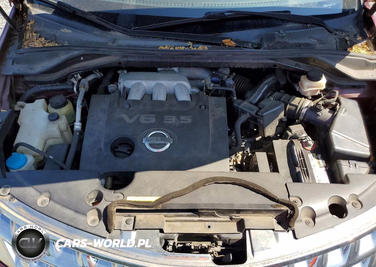 2006 Nissan Murano S VIN:JN8AZ08T56W419755 - 11