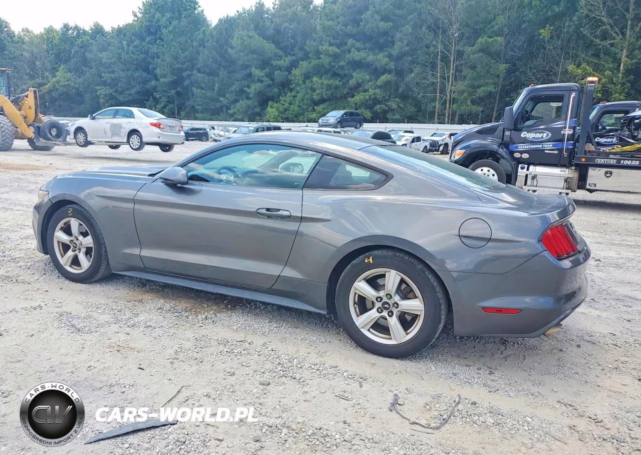 2015 Ford Mustang VIN:1FA6P8AMXF5373571 - 2