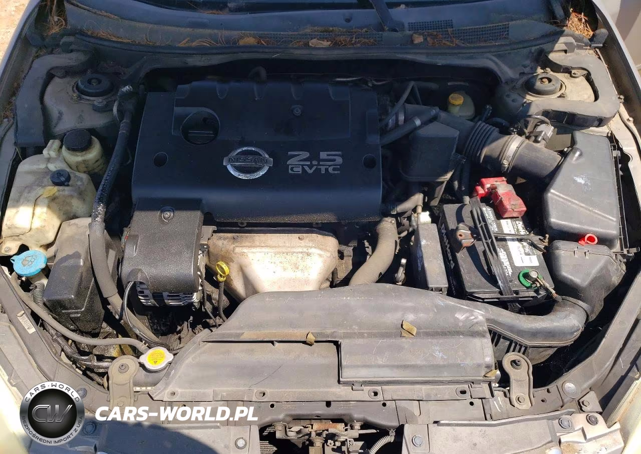 2003 Nissan Altima 2.5 S VIN:1N4AL11EX3C273211 - 11