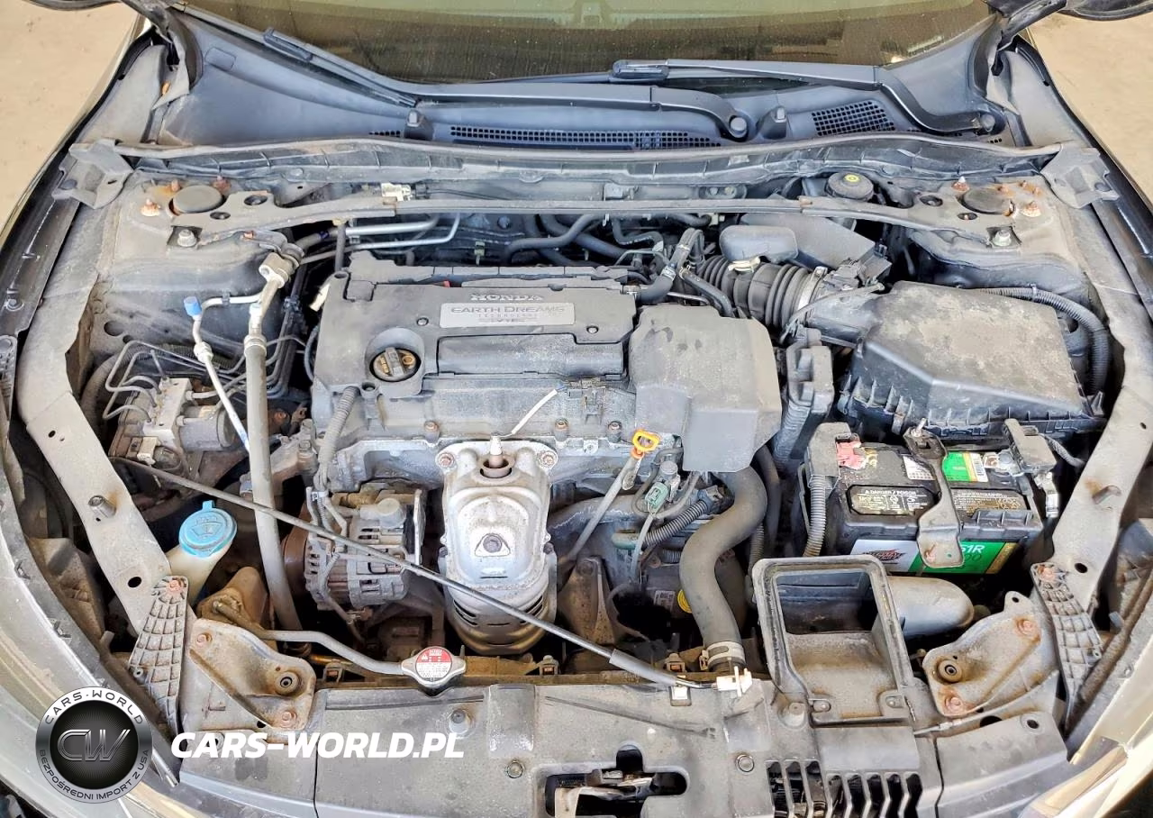 2013 Honda Accord Exl VIN:1HGCR2F88DA094576 - 11